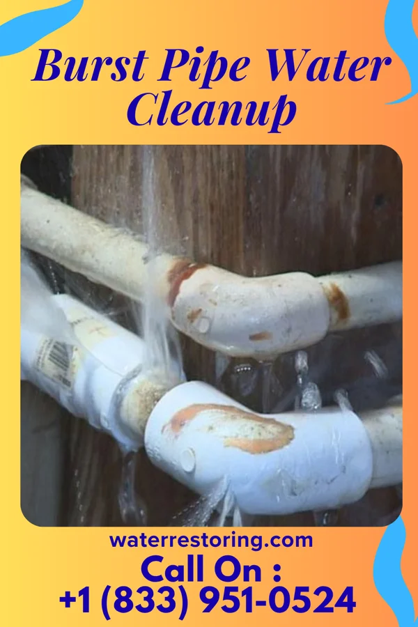 Burst Pipe Water Cleanup in Lithonia, GA