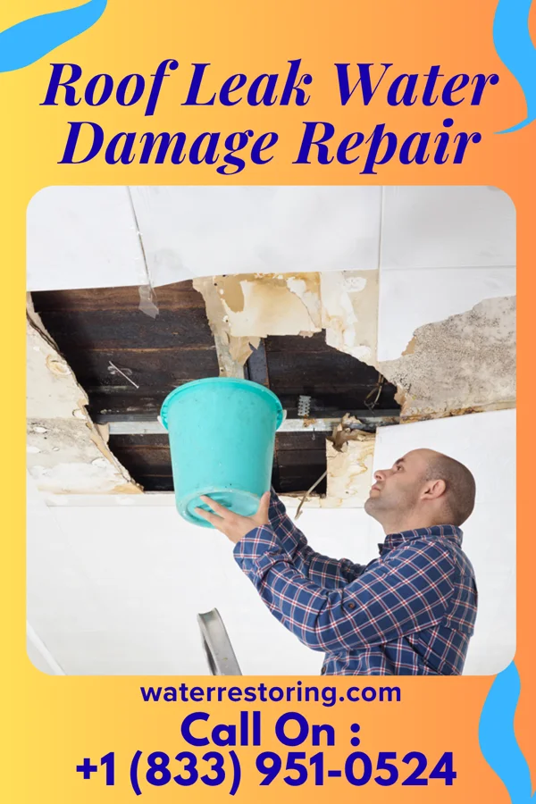 Roof Leak Water Damage Repair in Lithonia, GA