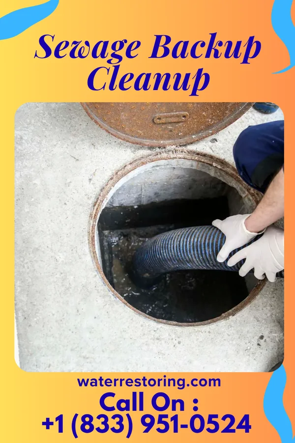 Sewage Backup Cleanup in Lithonia, GA